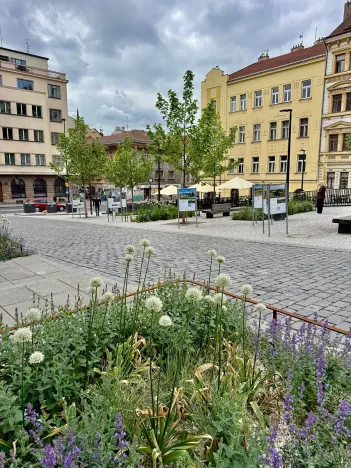 Prodej bytu 2+kk, Praha - Žižkov, Dalimilova, 52 m2