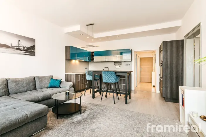 Pronájem bytu 2+kk, Brno, Reissigova, 56 m2