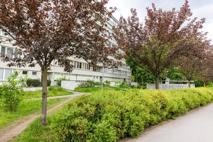 Pronájem bytu 2+kk, Praha - Karlín, Nekvasilova, 41 m2