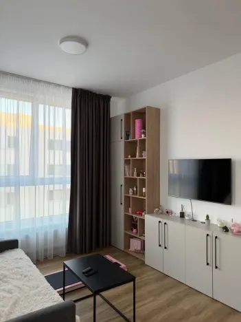 Pronájem bytu 2+kk, Praha - Vysočany, Odkolkova, 40 m2