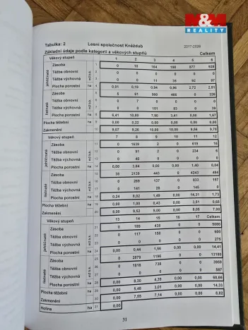 Prodej lesa, Kněždub, 845297 m2