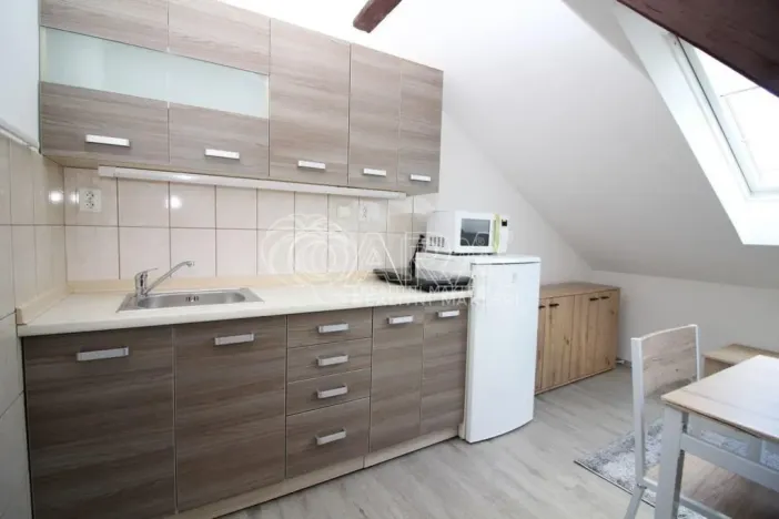 Pronájem bytu 1+kk, Praha - Smíchov, Lidická, 19 m2
