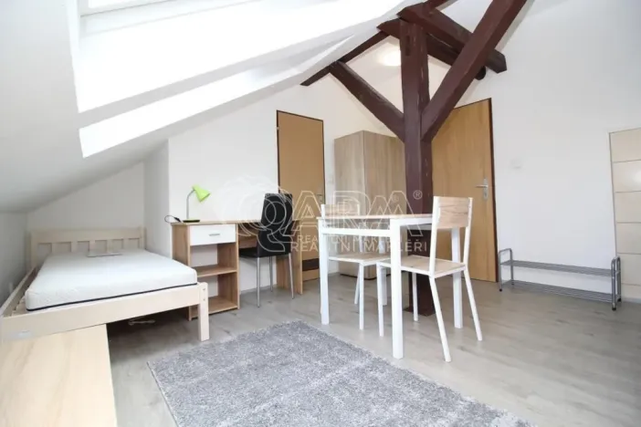 Pronájem bytu 1+kk, Praha - Smíchov, Lidická, 19 m2