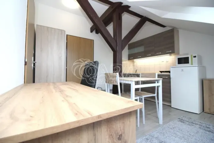 Pronájem bytu 1+kk, Praha - Smíchov, Lidická, 19 m2