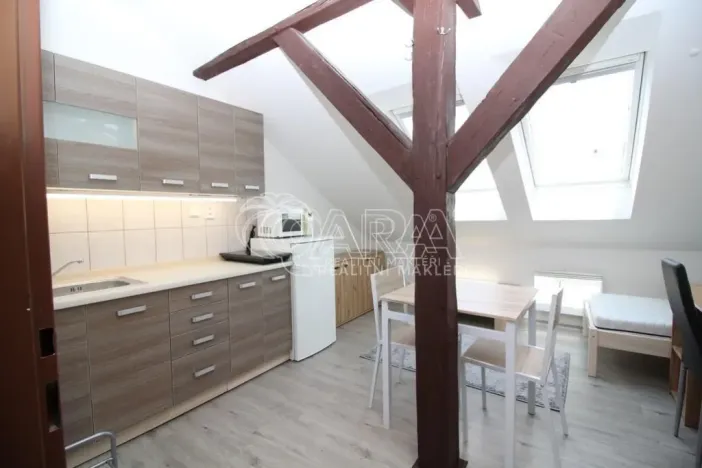 Pronájem bytu 1+kk, Praha - Smíchov, Lidická, 19 m2
