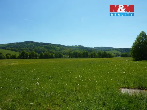 Prodej louky, Náchod - Běloves, 20495 m2