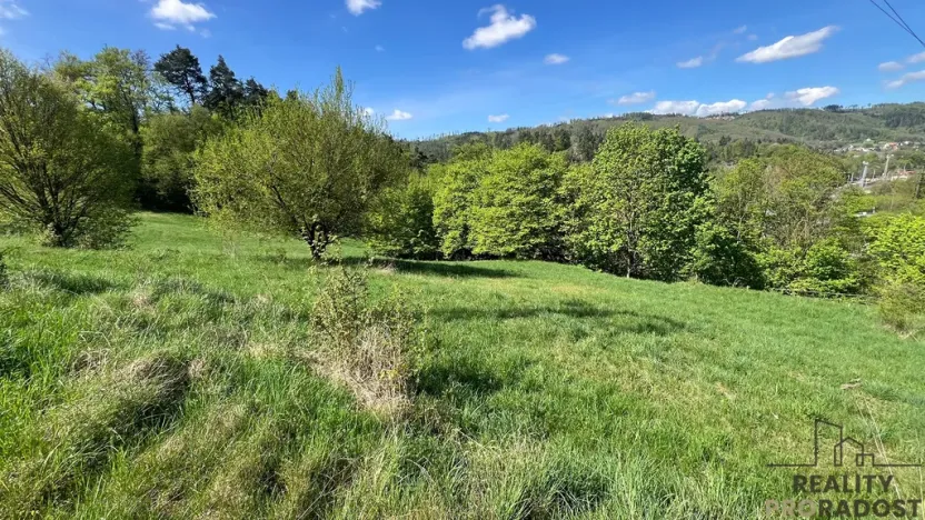 Prodej komerčního pozemku, Blansko - Klepačov, 10598 m2