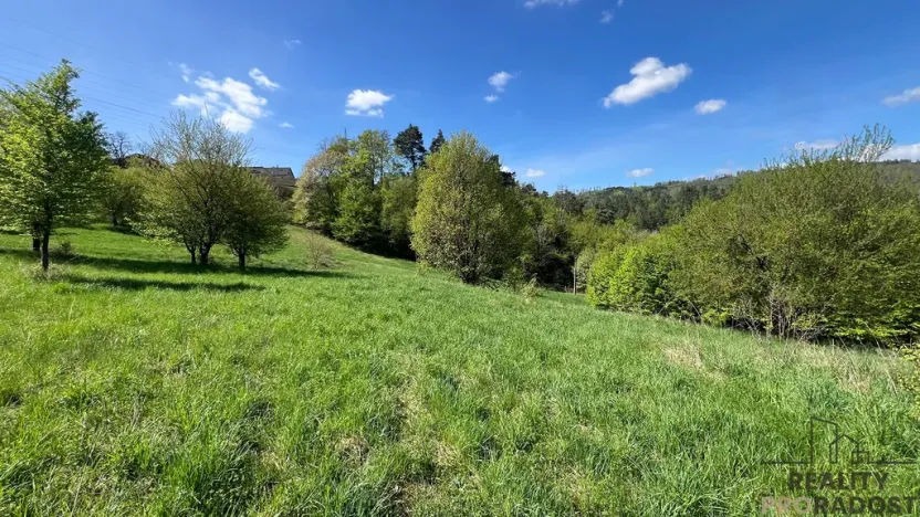 Prodej komerčního pozemku, Blansko - Klepačov, 10598 m2