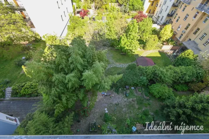 Pronájem bytu 2+1, Brno, Čápkova, 67 m2