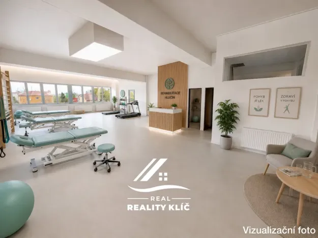 Pronájem obchodního prostoru, Hlučín, Cihelní, 167 m2