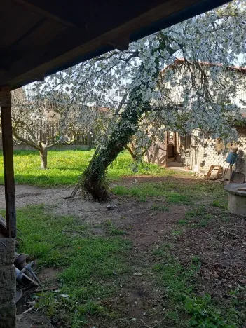 Prodej rodinného domu, Chrášťany, 300 m2