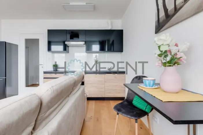 Pronájem bytu 1+kk, Praha - Vinohrady, Perucká, 26 m2