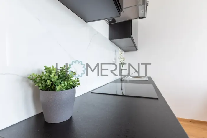 Pronájem bytu 1+kk, Praha - Vinohrady, Perucká, 26 m2