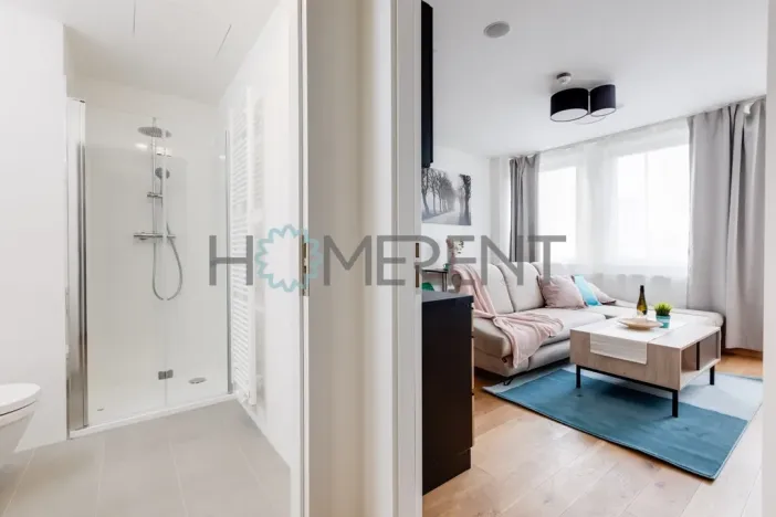 Pronájem bytu 1+kk, Praha - Vinohrady, Perucká, 26 m2