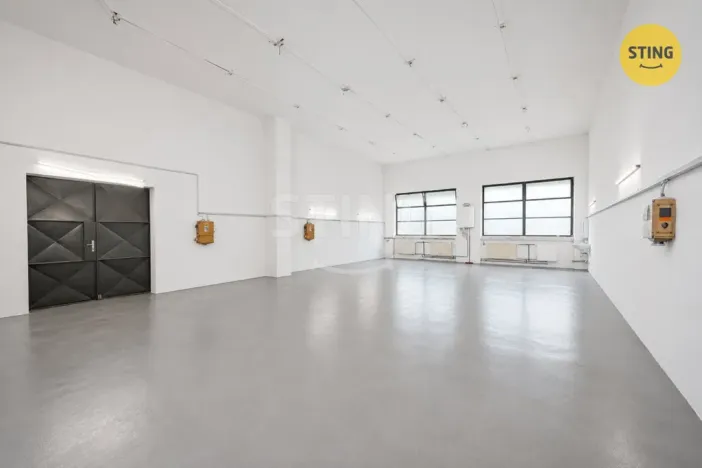 Pronájem výrobních prostor, Pardubice, S. K. Neumanna, 165 m2