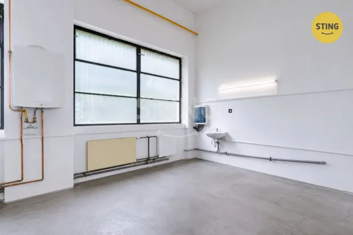 Pronájem výrobních prostor, Pardubice, S. K. Neumanna, 165 m2
