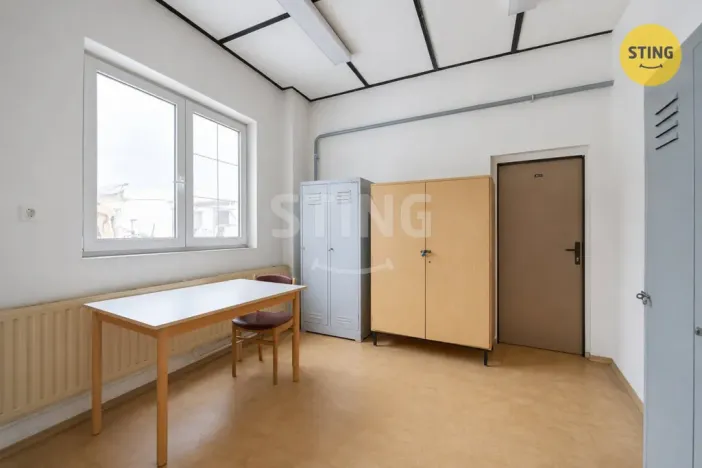 Pronájem výrobních prostor, Pardubice, S. K. Neumanna, 165 m2