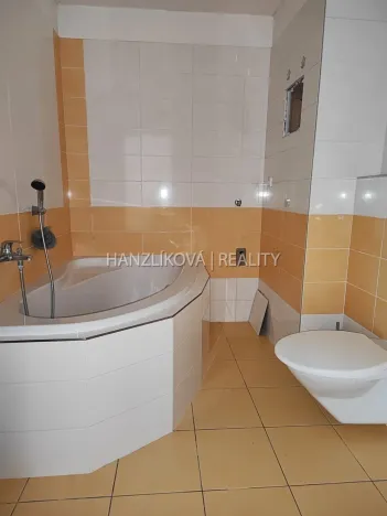 Pronájem bytu 2+kk, České Budějovice - České Budějovice 3, Klavíkova, 51 m2