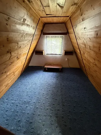 Prodej chaty, Bělá pod Bezdězem, Nad Kuřívodskou Silnicí, 120 m2