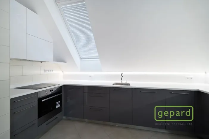 Pronájem bytu 2+kk, Praha - Vinohrady, Perucká, 71 m2