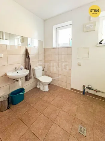 Pronájem rodinného domu, Albrechtice, Bělehradská, 217 m2