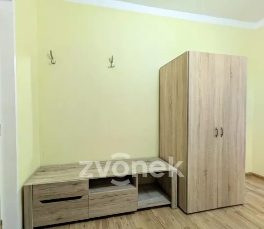 Prodej bytu 1+1, Vsetín, Luh, 24 m2