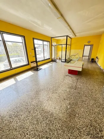 Prodej obchodního prostoru, Dubčany, 167 m2