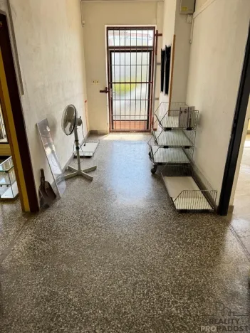 Prodej obchodního prostoru, Dubčany, 167 m2