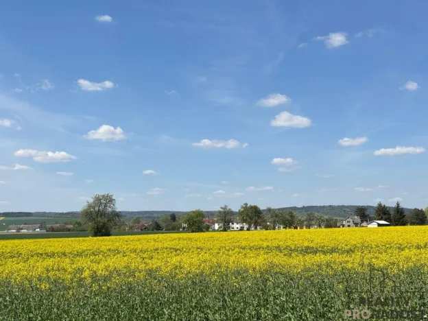 Prodej obchodního prostoru, Dubčany, 167 m2
