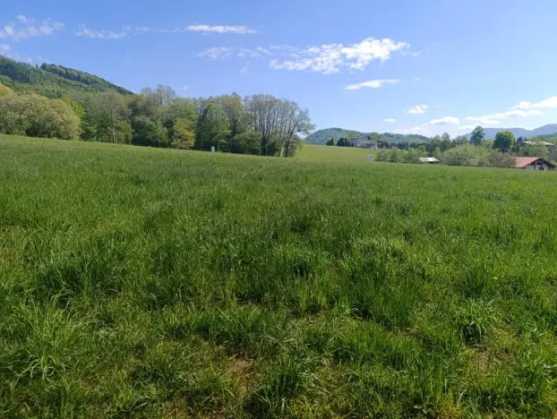 Prodej pozemku pro bydlení, Lichnov, 1480 m2