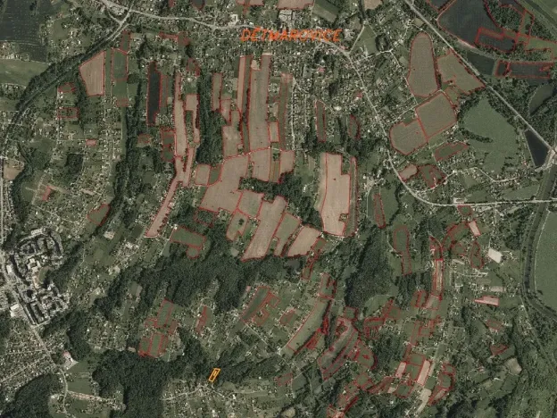 Dražba lesa, Dětmarovice, 2629 m2
