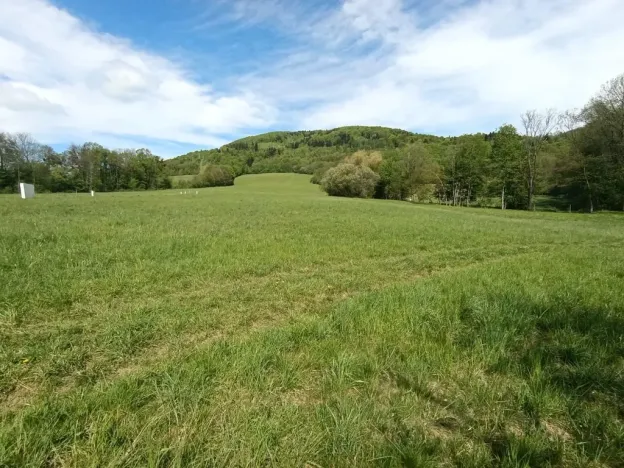 Prodej komerčního pozemku, Lichnov, 2338 m2