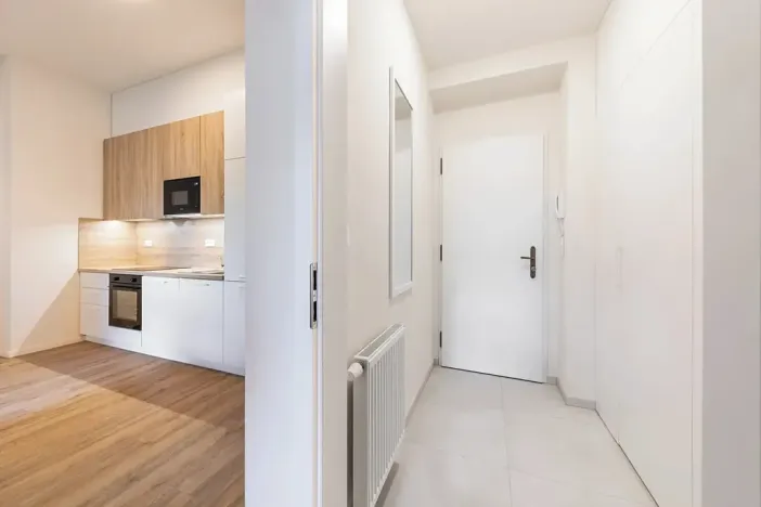 Pronájem bytu 1+kk, Praha - Bubeneč, Veletržní, 36 m2
