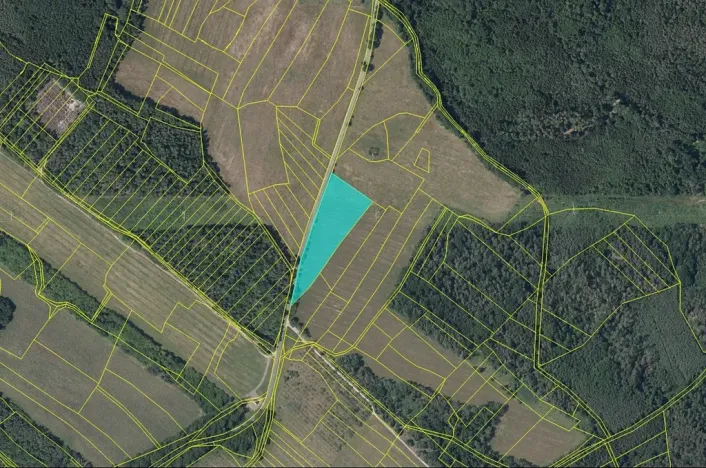 Prodej louky, Horušice, 11014 m2