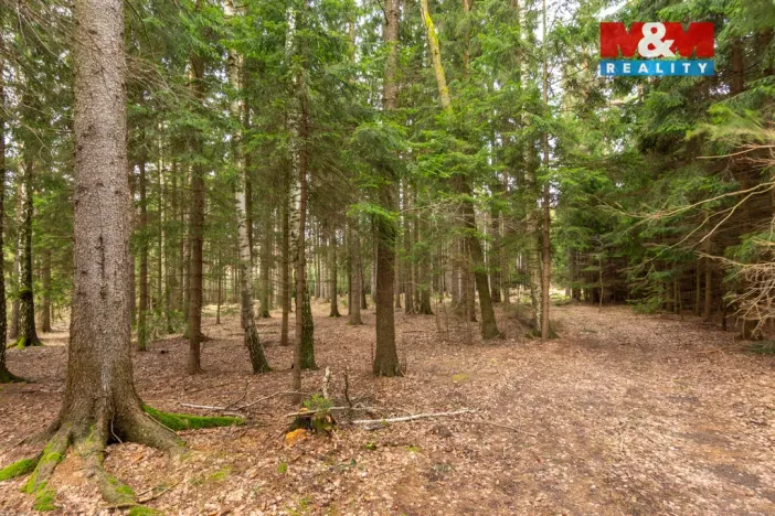 Prodej pole, Vysočina - Možděnice, 108437 m2