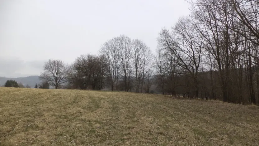 Prodej pole, Malečov - Řetouň, 939 m2