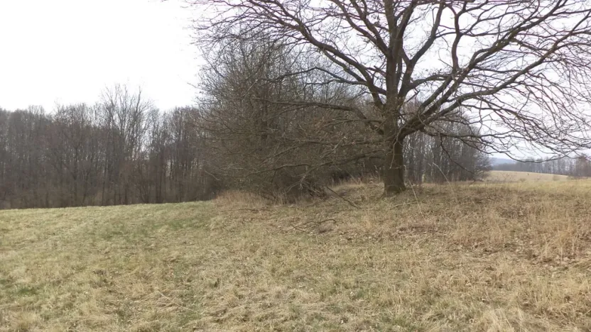 Prodej pole, Malečov - Řetouň, 939 m2