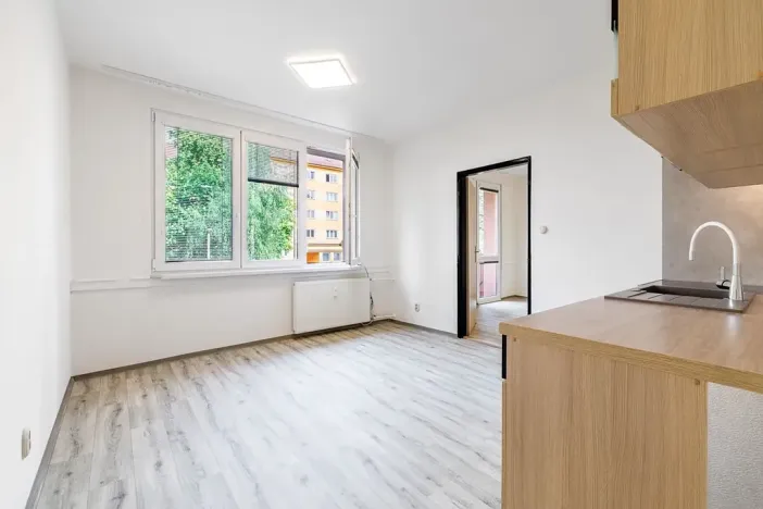 Pronájem bytu 2+kk, České Budějovice, Puklicova, 39 m2