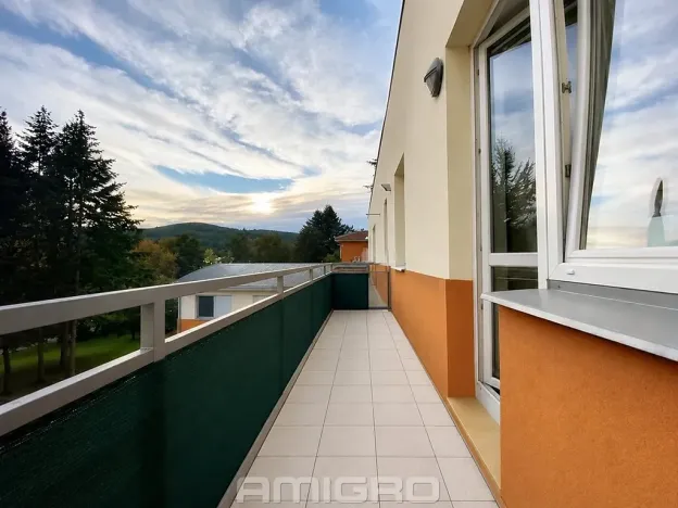 Pronájem bytu 1+kk, Brno, Absolonova, 41 m2