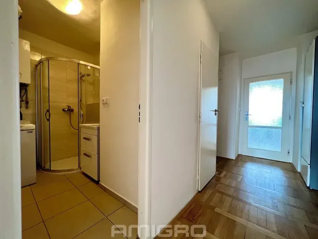 Prodej bytu 1+1, Brno, Merhautova, 48 m2