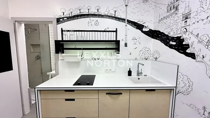 Prodej bytu 1+1, Praha - Vršovice, Kodaňská, 56 m2