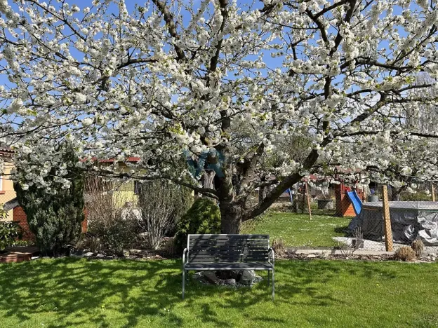 Prodej rodinného domu, Planá, 150 m2