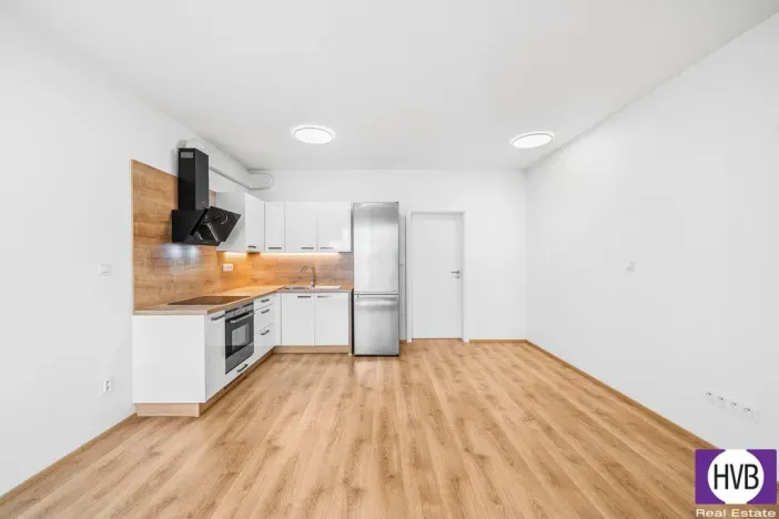 Prodej bytu 2+kk, Plzeň, Goldscheiderova, 56 m2