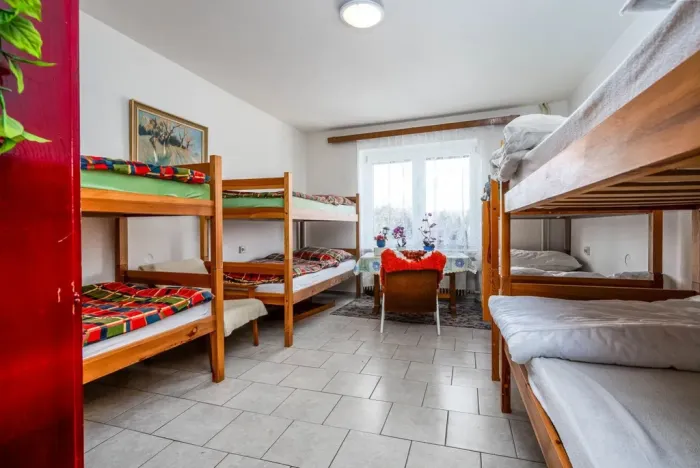 Prodej obchodního prostoru, Úsobí, 365 m2
