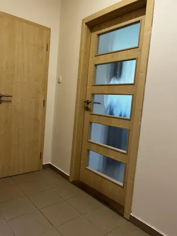 Pronájem bytu 1+kk, Praha - Nusle, Doudlebská, 29 m2