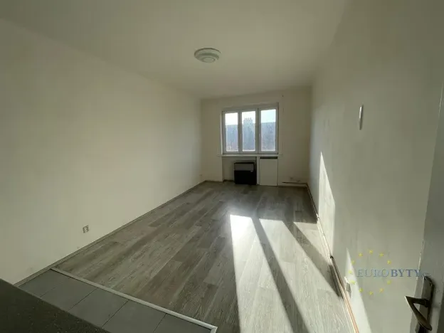 Pronájem bytu 1+kk, Praha - Nusle, V Horkách, 35 m2