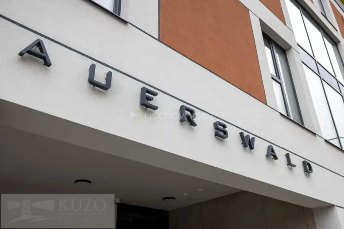 Pronájem bytu 2+kk, Brno, Auerswaldova, 62 m2