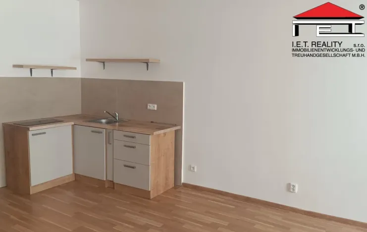Pronájem bytu 1+kk, Opava, Sněmovní, 45 m2