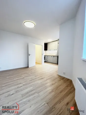 Pronájem bytu 1+kk, Opava, 25 m2