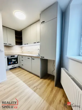 Pronájem bytu 1+kk, Opava, 25 m2